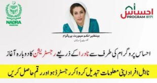 Benazir Nashonuma Program 2025 CNIC Check Online and Registration
